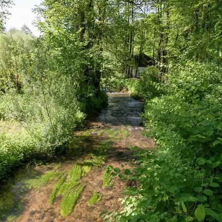Chalet Cozy Forest In Ovifat, Cleaning Included
