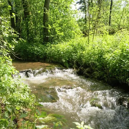 Chalet Cozy Forest In Ovifat, Cleaning Included Ovifat